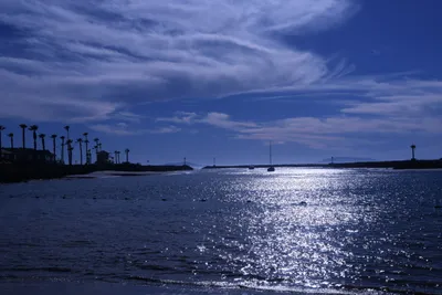 DSC_0798 (Large).JPG